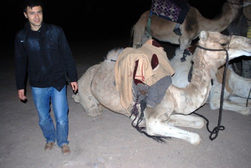 Ouarzazate, Morocco (2012)