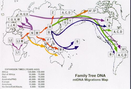 Mitochondrial DNA Migration Map