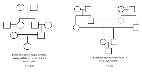 Akraba evliliği çeşitleri