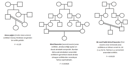 Akraba evliliği çeşitleri
