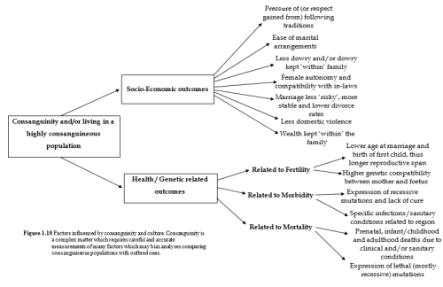 consanguinity factors culture socio-economic