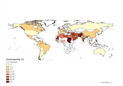 Global prevalence of consanguineous unions. Consanguinity has deep roots in many cultures and it is impossible to interfere/intervene from the outside without first understanding why people engage in cousin marriages. Image source URL: www.consang.net/