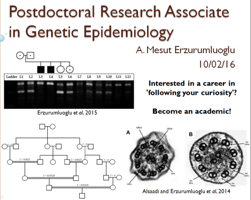 Interested in following your curiosity? Become an academic!
