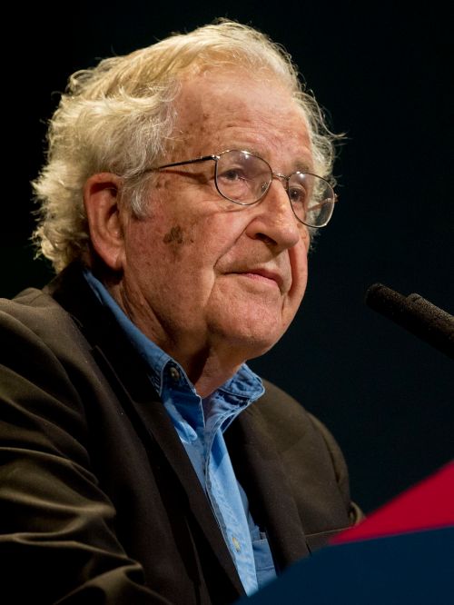 Noam_Chomsky_portrait_2015