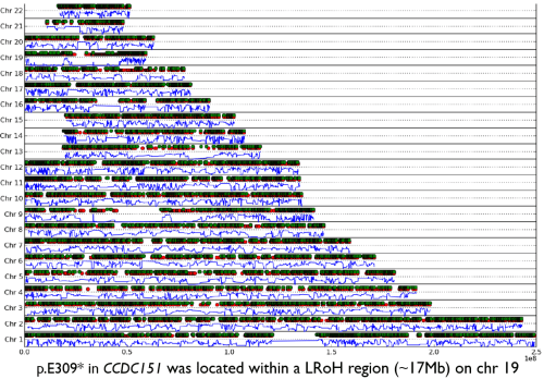 Autozplotter_mesut_erzurumluoglu