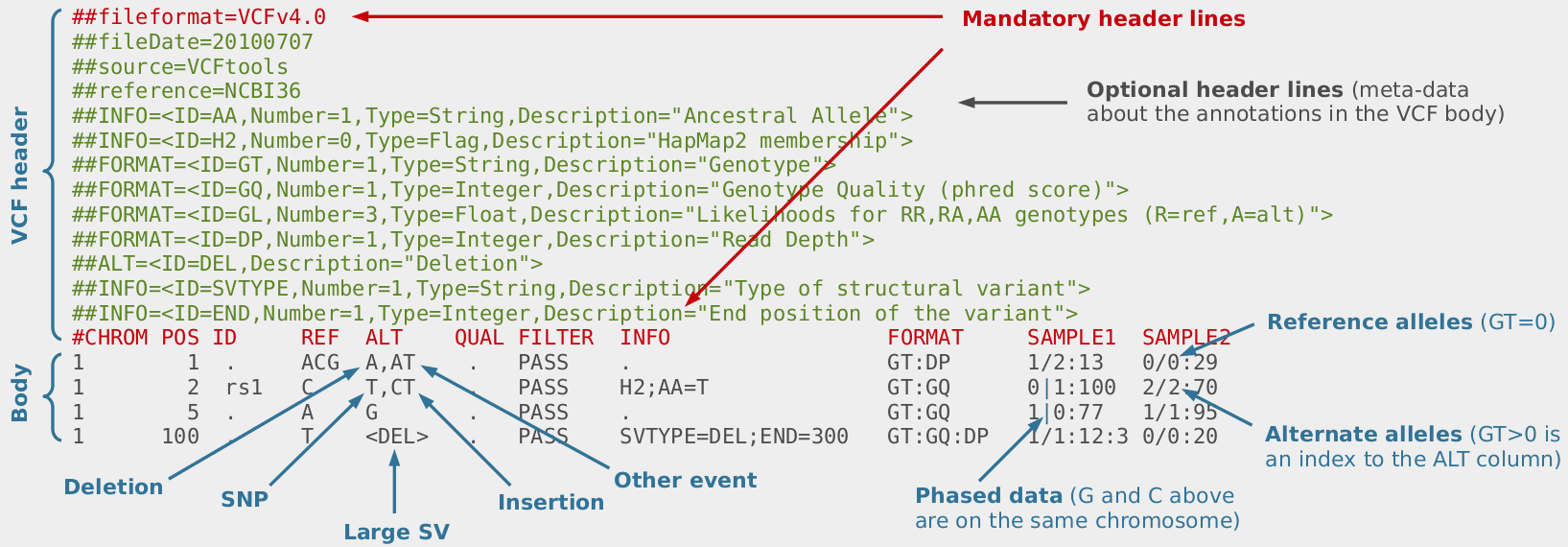 VCF_format_v4