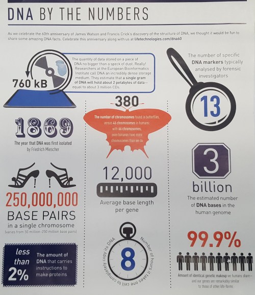 DNA by the numbers_Life_Technologies