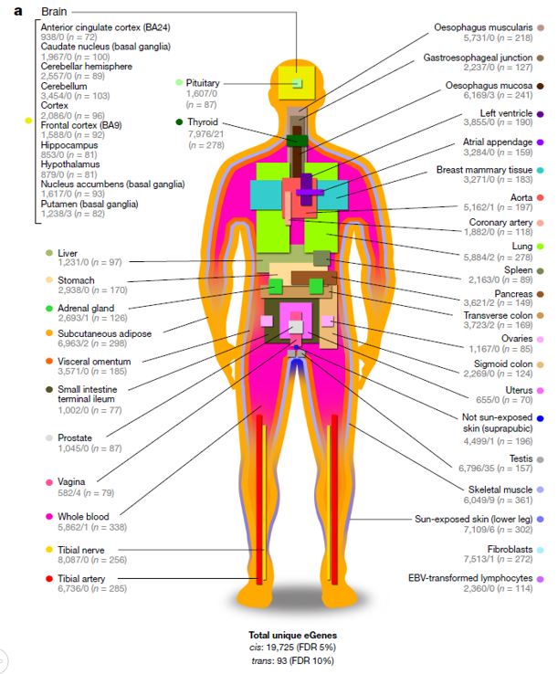 gtex_oct_2017_nature_journal_club