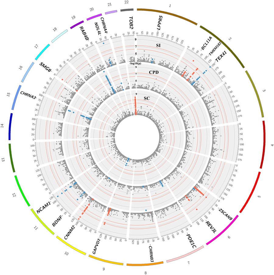 smoking_genetics_gwas_mesut_erzurumluoglu
